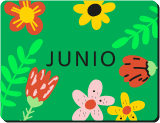 Junio