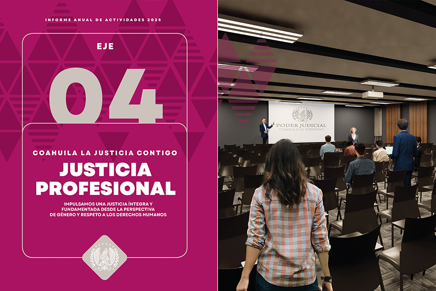 Justicia-Profesional