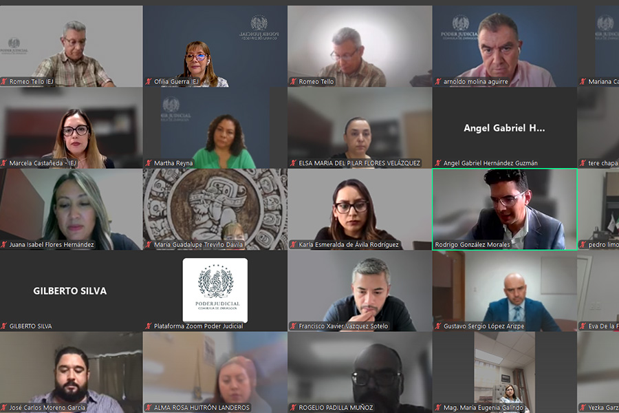 Justicia-Profesional