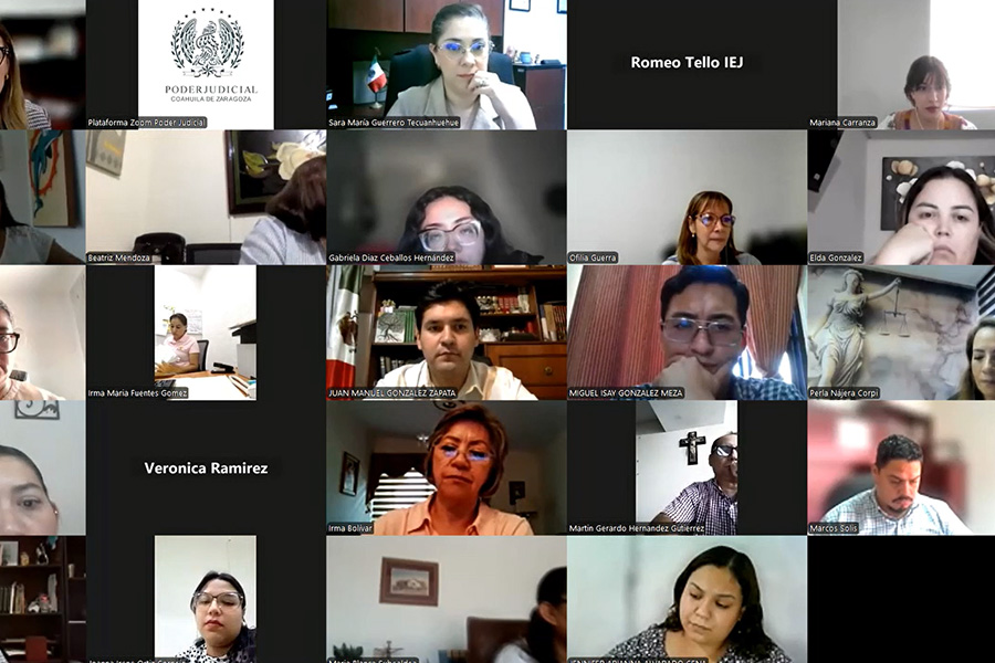 Justicia-Profesional