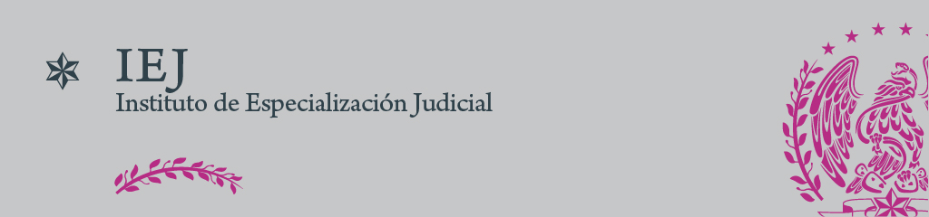 Instituto de Especialización Judicial