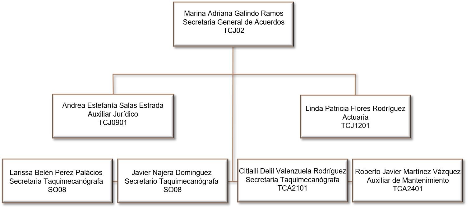 Pleno del Tribunal Superior de Justicia del Estado